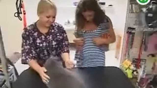 Подъем: коты Цыбульской и Скрыпина смотреть онлайн
