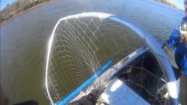 Ловля жереха на Дону начало октября смотреть онлайн