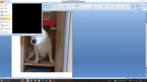 как сделать печать чёрно белой для чайников