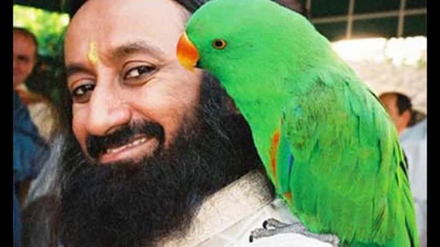 Более широкое видение жизни смотреть онлайн