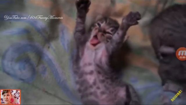 ПОПРОБУЙ НЕ ЗЕВАТЬ ЧЕЛЛЕНДЖ смотреть онлайн