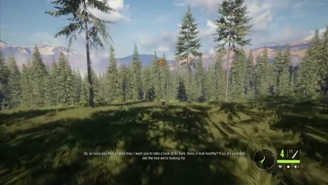 theHunter: Call of the Wild | Yukon Valley Missions: "Quarantine" смотреть онлайн