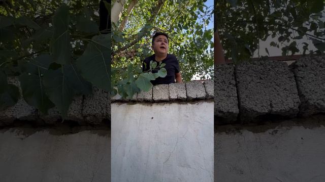 Kopchiligimiz Arazlab Shu Ishni Qilib Koramiz ?