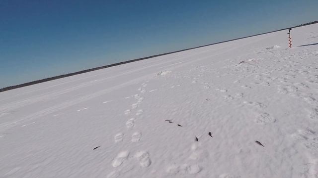 Зимняя рыбалка на озере 15.04.2023. Солнечное Слободское. Окунь, сорога, ерш. смотреть онлайн