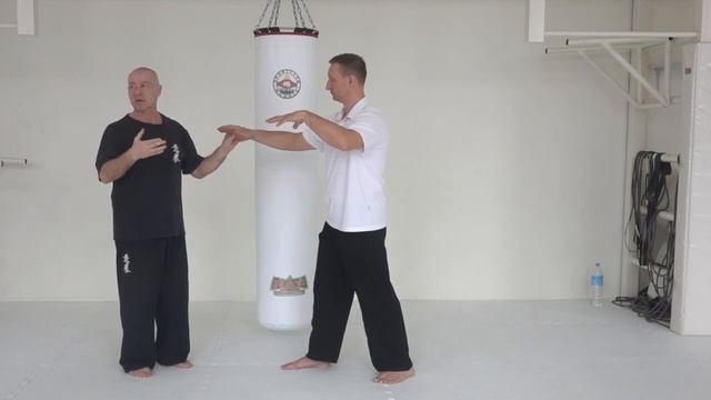 ШКОЛА ИЦЮАНЬ-167. Дань Туйшоу / 1-й вариант / Усилия и траектория / 1- уровень программы #1 смотреть онлайн