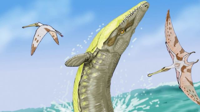 New Ancient ‘Marine Crocodile’ Discovered on UK’s Jurassic Coast смотреть онлайн