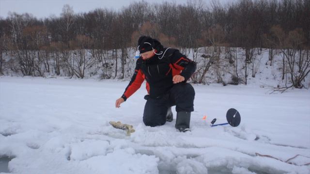 ОСТАВИЛ ЖЕРЛИЦЫ БЕЗ ПРИСМОТРА В НОЧЬ И ОФИГЕЛ! Зимняя рыбалка на жерлицы в глухозимье смотреть онлайн