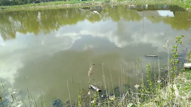 ЛОШАДИ. НОВЫЙ ЗАБОР. ЛУЧШЕ, ЧЕМ ЗООПАРК! смотреть онлайн