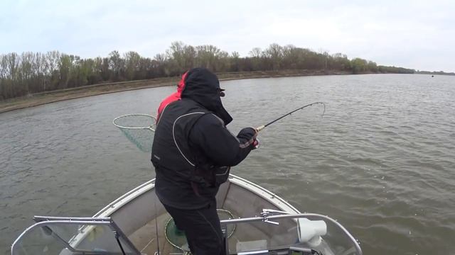 Рыбалка весной. Апрель 2017. Нижняя Волга