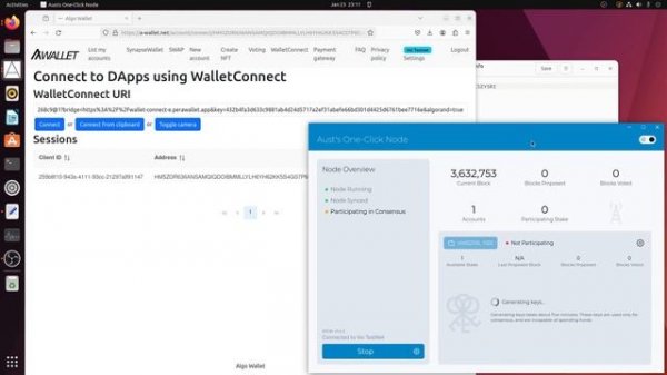 Running a Voi and Algorand Node on Linux Ubuntu  - Aust’s One Click Node
