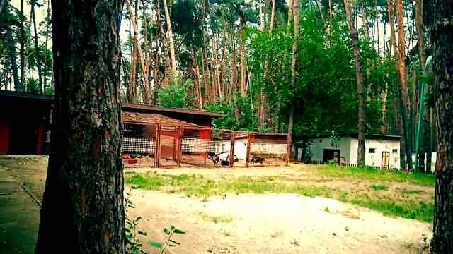 База отдыха Мустанг. Мой обзор. 2017 смотреть онлайн