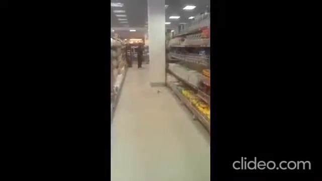 Воробей в магазине.