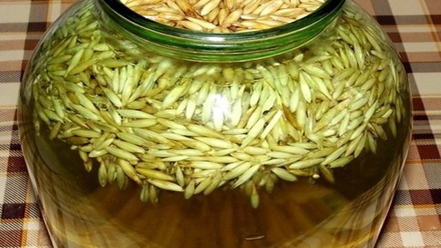 Сборник рецептов