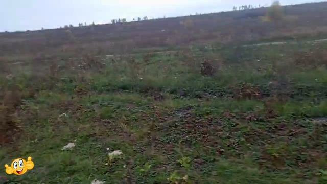 #Красноусольск, Пруд заполянский, По просьбе зрителя смотреть онлайн