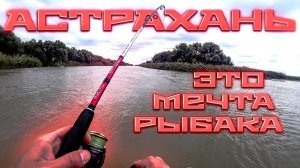 ЭТО Астрахань где ловится всё! Рыбалка в диких местах на лодке.