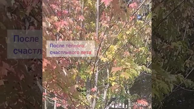 Почему осенью листья жёлтые. смотреть онлайн