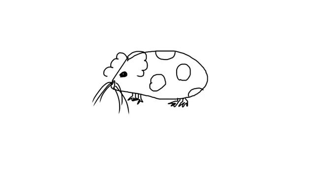 Рисую мою морскую свинку Бобика! смотреть онлайн