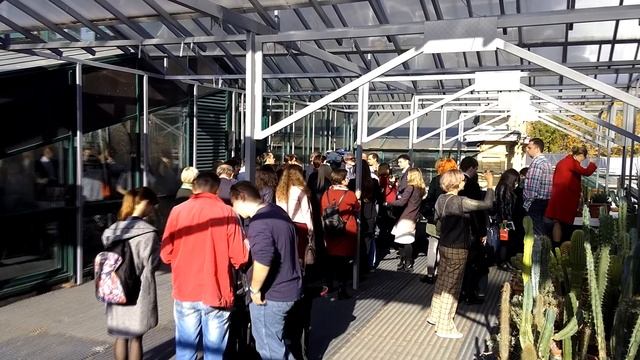 Систему сбора дождевой воды запустили в "Аптекарском огороде" смотреть онлайн