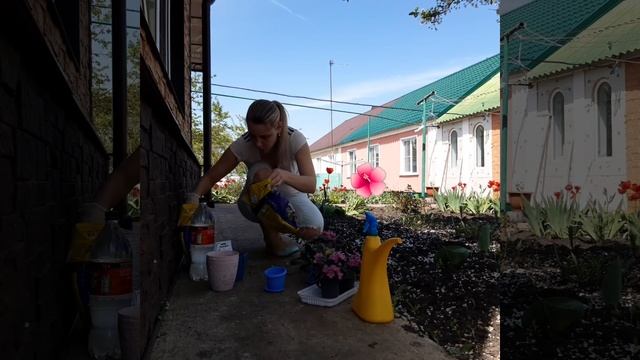 Обустройство приусадебного участка: покраска песочнтцы, пересадка цвнтов, заливка оьмостки.