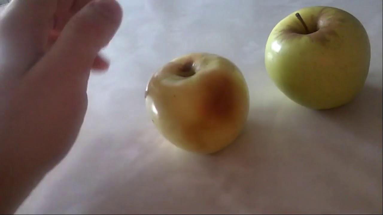 Домашний шеф. Мужская кухня