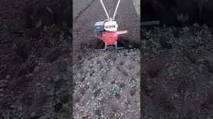 вспашка мотоблоком брайт