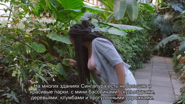 Сингапур: фото города будущего 2020 Отзывы туристов и форум Ездили-Знаем! * смотреть онлайн