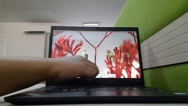 Hackintosh ThinkPad T14 Gen 1 Touchsreen смотреть онлайн