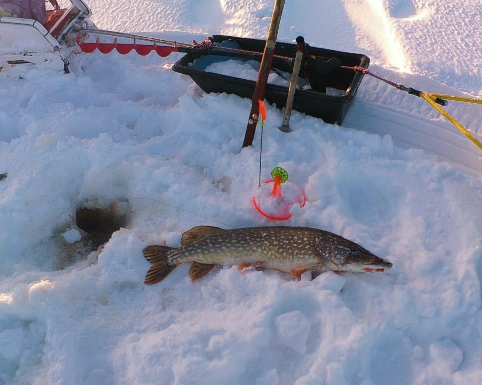 Нежданчик в глухозимье! Рыбалка 12.02.2023г.