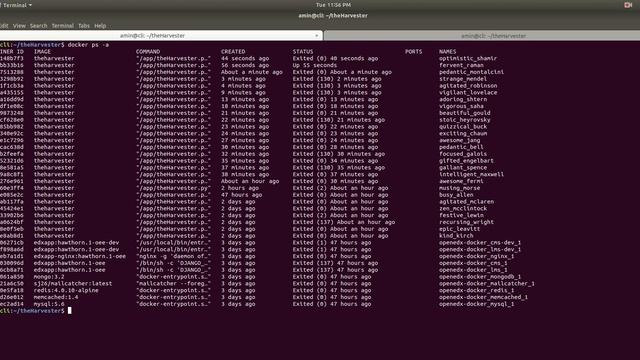 I will do theHarvester installation with docker смотреть онлайн