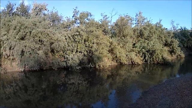 Рыбалка на КМВ, Кума (Канглы), карп, амур, сом смотреть онлайн