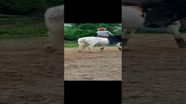 rutube.ru