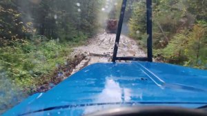 Один день в лесу