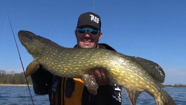 High 5 Lures, SHAD18 - Kayak Pike KAPOW! смотреть онлайн