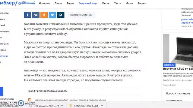 Бразилец подрался с огромной анакондой ради собаки