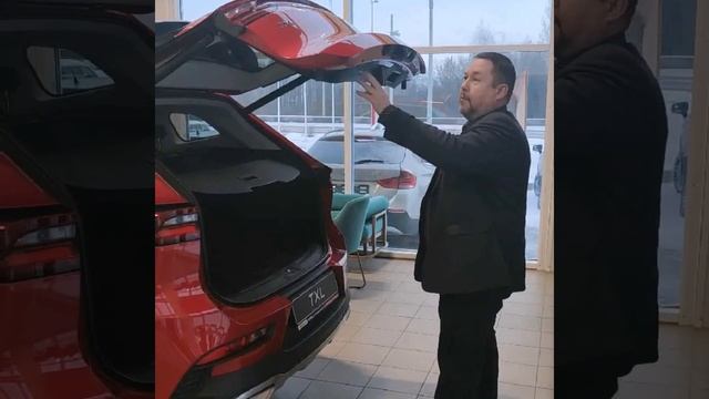 Обзор умных ассистентов в CHERYEXEED TXL