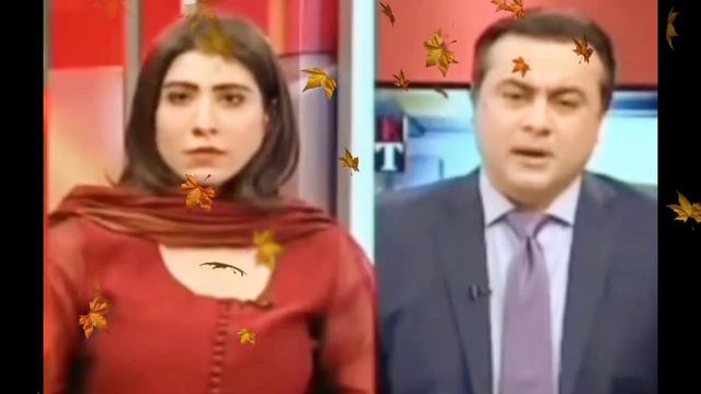 Hina Pervez Butt Pakistani Beautiful Politician Video In A Live Show Gone Viral Over Internet