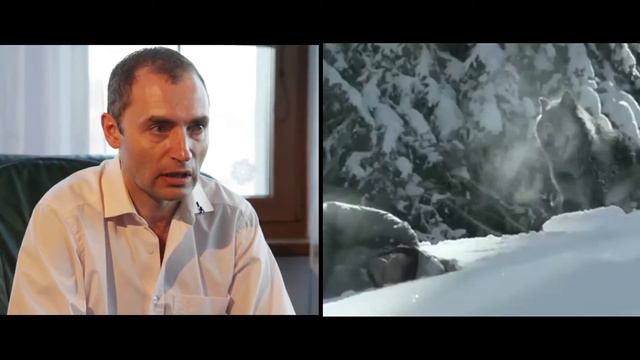 Культура Денег про внутренний кризис | PROРАЗВИТИЕ смотреть онлайн