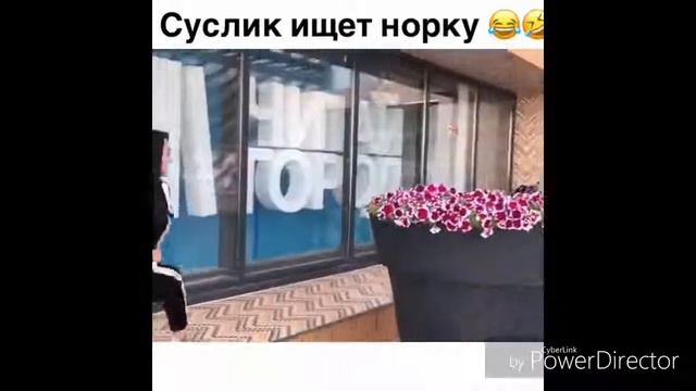 Безумные игры Игра замри Игра пол это лава Игра танцуй игра замерзни игра улика смотреть онлайн