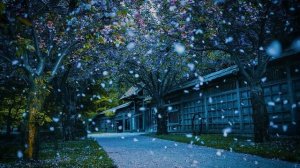 Райский сад • Музыка Без Слов • Для Поклонения и Молитвы