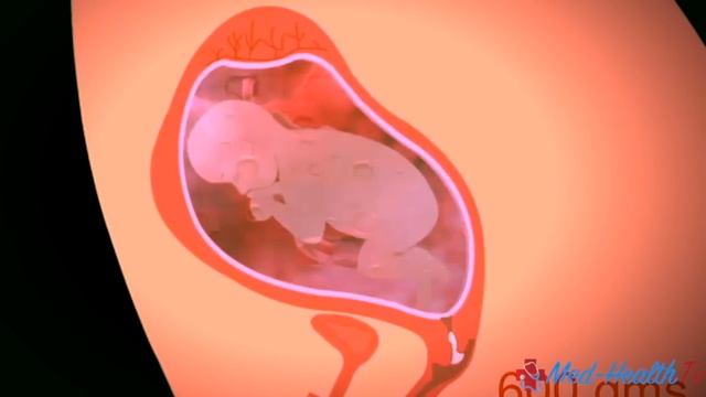 Pregnancy | Kannada | Month 5 | ಗರ್ಭಧಾರಣೆ ತಿಂಗಳ- 5 смотреть онлайн