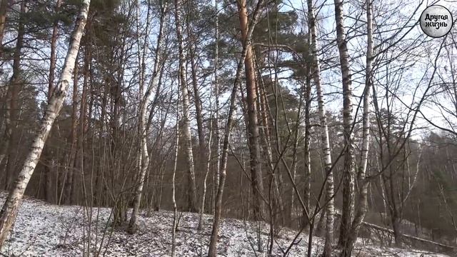 Я стою на крутом берегу! смотреть онлайн