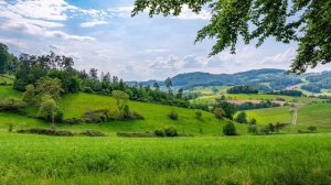 История из жизни. Моя свекровь. Аудиорассказ. Жизненная история.