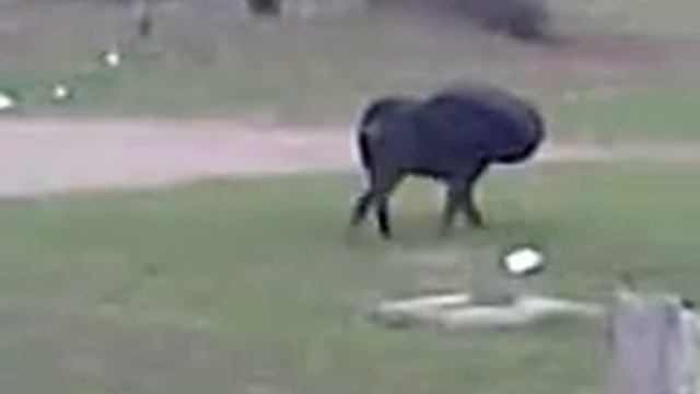 Видео001 смотреть онлайн