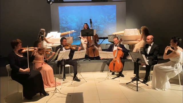 Aquarium C. Saint-Saens 'Carnival of the Animals' 🐟 Аквариум К. Сен-Санс "Карнавал животных" смотреть онлайн