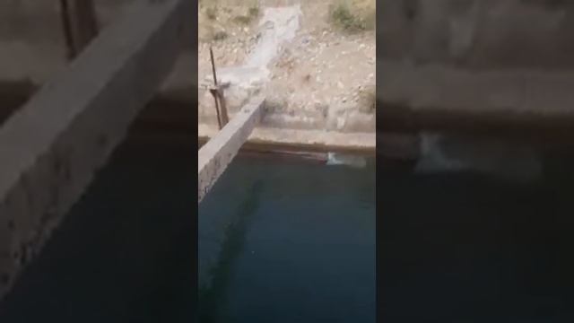 Запуск водяного насоса Гидротаран Рогозина ГТ-200 смотреть онлайн