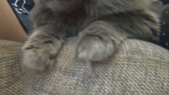 Мамин День Рождения/ подарки/Торт/ДР Масяни. смотреть онлайн