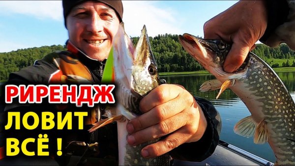 Воблер rerange ловит всё! Ловлю на рирендж 130 от беркинга и jackall rerange