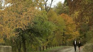 Елена Добрая - Октябрьский вечер