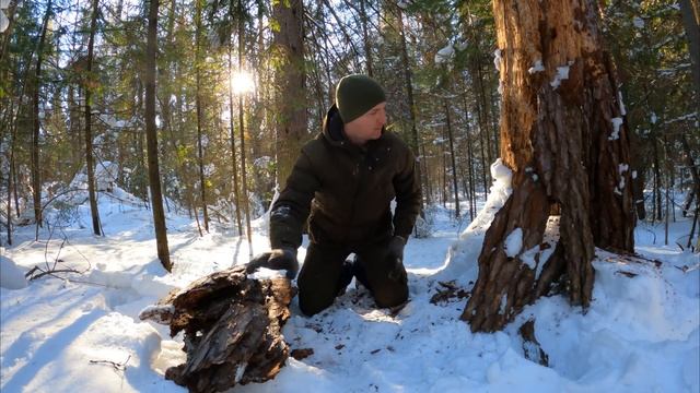 Построили ДОМ ПОД ЗЕМЛЕЙ своими РУКАМИ | ЖИЗНЬ и БЫТ в ЛЕСУ — Строительство Землянки и ЛЕС смотреть онлайн