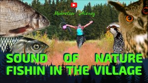 Звуки природы .Рыбалка в деревне.Sounds of nature Fishing in the village.